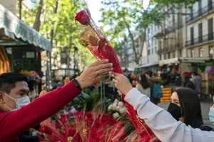 Rosa de Sant Jordi 2026 en Cataluña